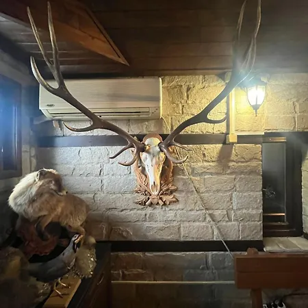 семеен звезда Sudievo