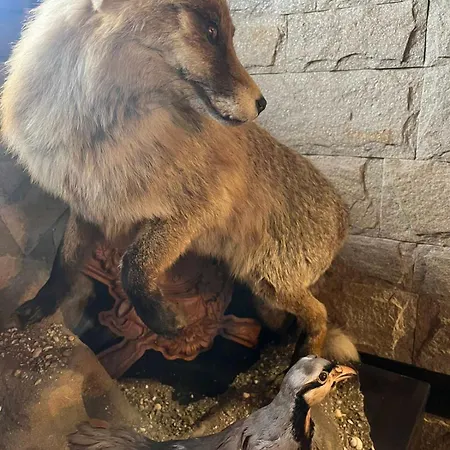 семеен звезда 3* Sudievo