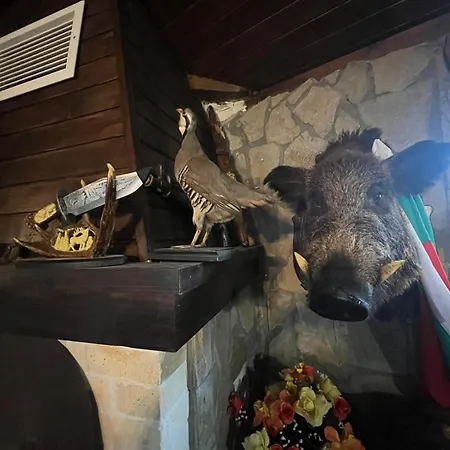 Szálloda семеен звезда 3*