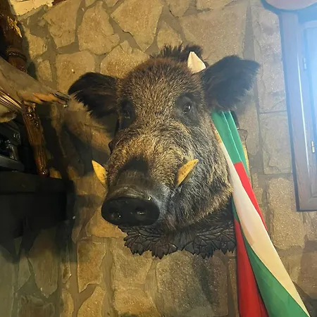 семеен звезда 3*